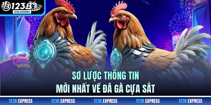 Sơ lược thông tin mới nhất về đá gà cựa sắt