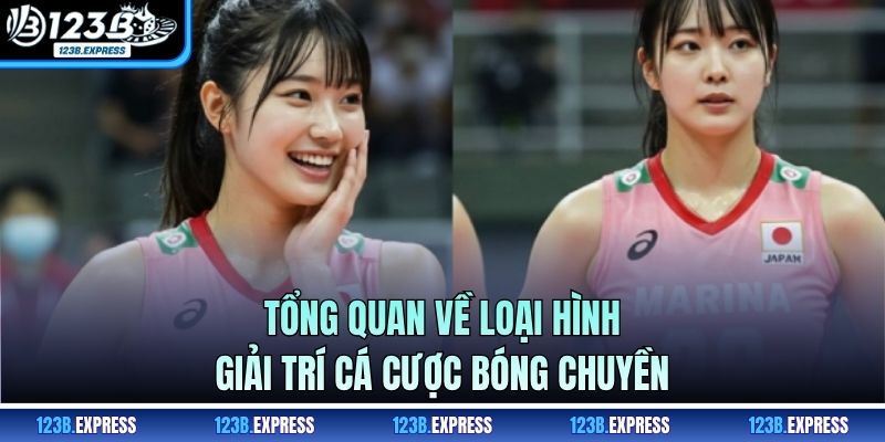 Tổng quan về loại hình giải trí cá cược bóng chuyền